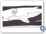tatoo shark